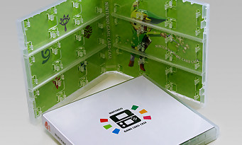 Club Nintendo : un étui pour cartouches DS et 3DS pour 1750 étoiles