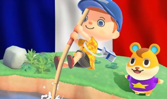 Charts France : Animal Crossing reste au sommet, Luigi's Mansion 3 éjecte DOOM Eternal