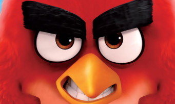 Angry Birds Le Film : Rovio prépare déjà une suite !