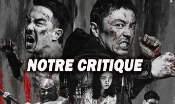 THE FURIOUS : oui, il surclasse The Raid 1 et 2, c'est bien réel ! (CRITIQUE)