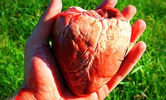 Surgeon Simulator 2013 : un gâteau-pâtissier en forme de boyaux !