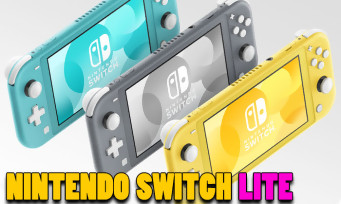 Switch Lite : les développeurs restent concentrés sur la version originale