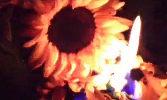 Bethesda : une nouvelle vidéo mystérieuse avec des tournesols en feu