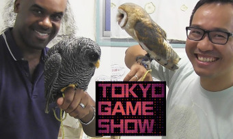 Tokyo Game Show 2016 : on vous fait visiter un bar à hiboux, parce que c'est chouette !