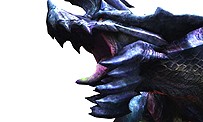 Monster Hunter 3DS mord en images
