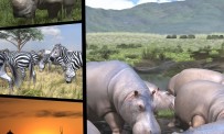 Afrika : des visuels sortis de la savane