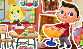 Test Animal Crossing Happy Home Designer sur 3DS