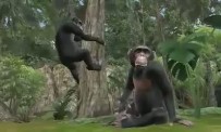 Animal Resort : trailer