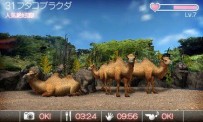 Animal Resort s'illustre