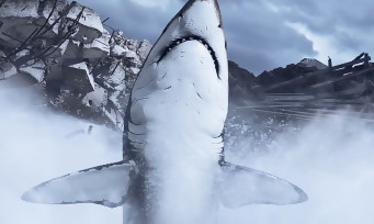 Battlefield 1 : voici comment débusquer le requin géant Megalodon, qui se cache dans une flaque d'eau.