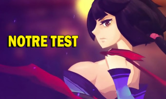 Test Bladed Fury : la Chine a enfin son Muramasa, une plutôt belle réussite !