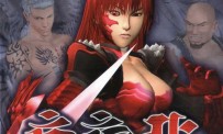 Bloody Roar 4