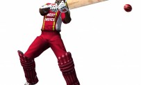 Le cricket sort en été