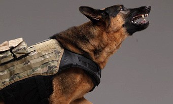 Call of Duty Ghosts : découvrez le gameplay du chien en vidéo