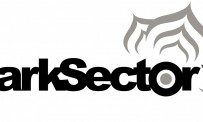 Dark Sector