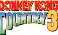 Test Donkey Kong Country 3