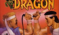 Double Dragon sur Xbox Live Arcade