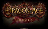 Le DLC de Dragon Age : Origins en images