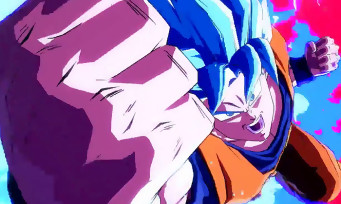 Dragon Ball FighterZ : Son Goku et Vegeta en Super Saiyajin Bleu seront bien dans le jeu, le trailer