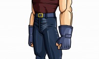 DBZ : Budokai Tenkaichi 2 illustr