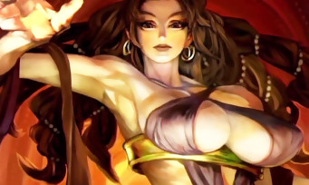 Dragon's Crown Pro : toutes les nouveautés de la version 4K détaillées en vidéo