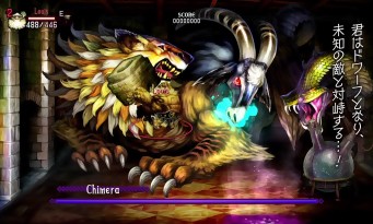 Jeu Dragon's Crown Pour PlayStation 3 (PS3) - Version Japonaise Complète - Bon état