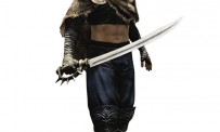 Dragon's Dogma : la classe en images
