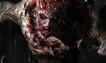 Dying Light The Following : le jeu passe en mode "Nightmare"