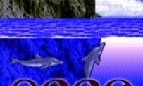 Ecco The Dolphin