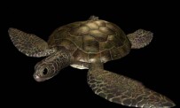 Vidéo EverQuest II