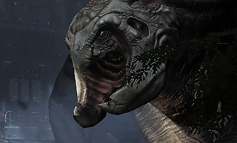 Evolve : Turtle Rock dévoile sa politique de DLC