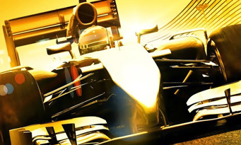 F1 2014 : Lewis Hamilton nous emmène à Hockenheim en vidéo