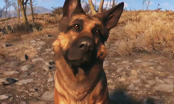 Fallout 4 : il y aura une douzaine de compagnons de route dont le berger allemand