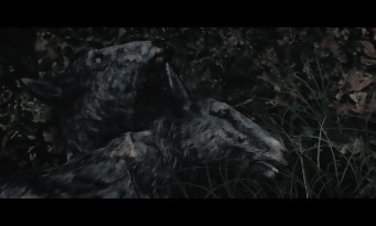 Fallout 4 : toutes les infos sur la version Nintendo Switch