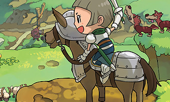 Test Fantasy Life sur 3DS