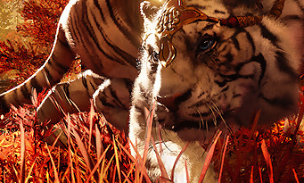 Far Cry 4 : un mode Arena avec des éléphants et des tigres au langue carrée