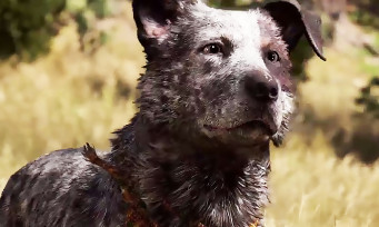 Far Cry 5 : Ubisoft publie 7 vidéos pour présenter les héros du jeu, dont le chien Boomer