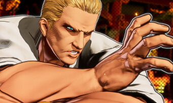 Fatal Fury City of the Wolves : Nightmare Geese arrive avec des costumes Street Fighter