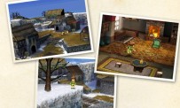 Une DS aux couleurs de FF Ring of Fates