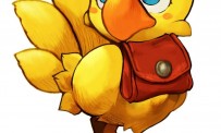 Chocobo's Dungeon Wii pour l'hiver