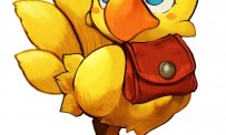 Chocobo's Dungeon prend la pose sur Wii