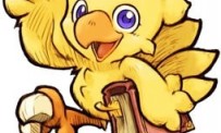 Un site pour Chocobo DS