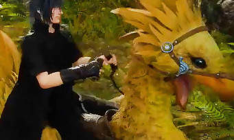 Final Fantasy XV : une vidéo de gameplay de deux minutes sur le dos d'un Chocobo
