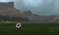 TGS 07 > Flower