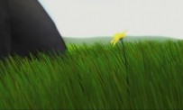 Flower - Pollenisation trailer