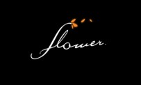 Flower : un vent d'images