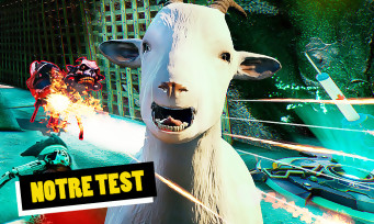 Test Goat of Duty : le FPS qui va vous rendre chèvre !