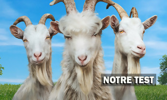 Test Goat Simulator 3 : la blague fonctionne-t-elle encore en 2022 ?