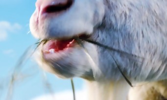 Goat Simulator : le jeu arrive aussi sur PS4 et PS3, dès cet été