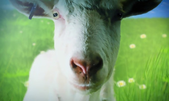 Test Goat Simulator sur Xbox One